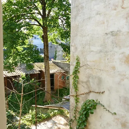 Apartamento Appart Hypercentre - Le Marin *